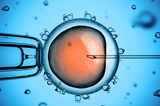 Использование замороженного эмбриона